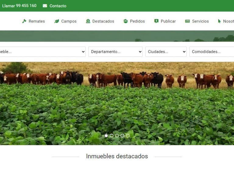 Uruguay, campos, venta, compra, inversiones, negocios rurales. - Gomensoro Leiva - Inversiones Rurales